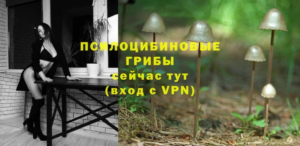 дмт Володарск