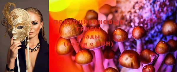 дмт Володарск