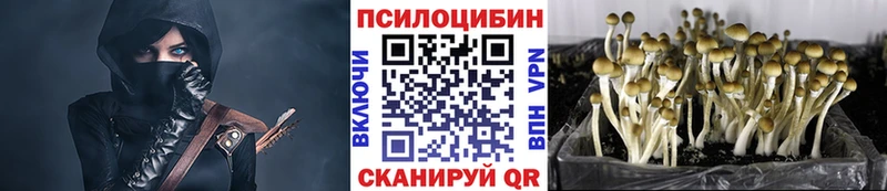 Галлюциногенные грибы ЛСД Донской
